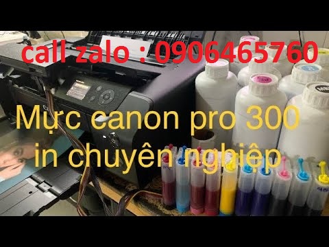 bộ tiếp mực ngoài canon pro 300 cao cấp